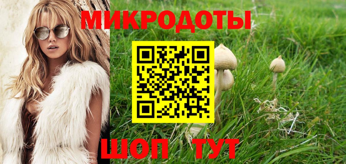 Псилоцибиновые грибы Cubensis Рубцовск