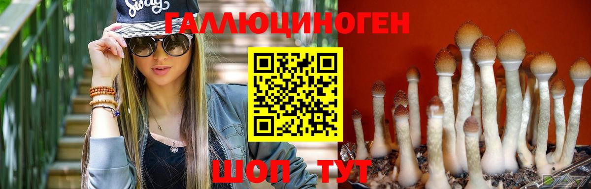 Псилоцибиновые грибы ЛСД  Вход с VPN  Псилоцибиновые грибы Cubensis  Рубцовск 